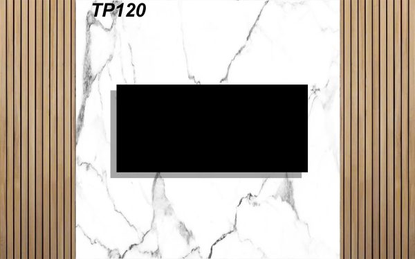 TP120