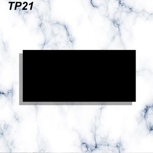 TP21