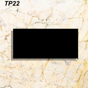 TP22