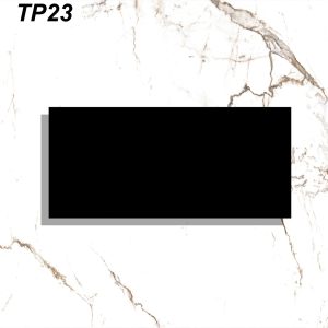 TP23