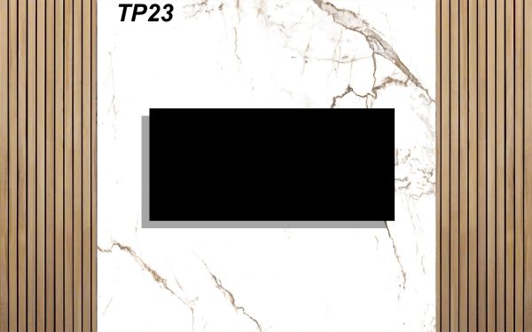 TP23