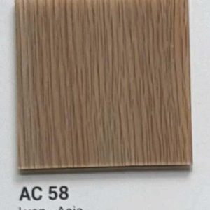 AC 58 Lyon Asia