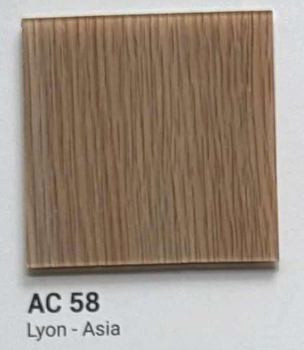 AC 58 Lyon Asia